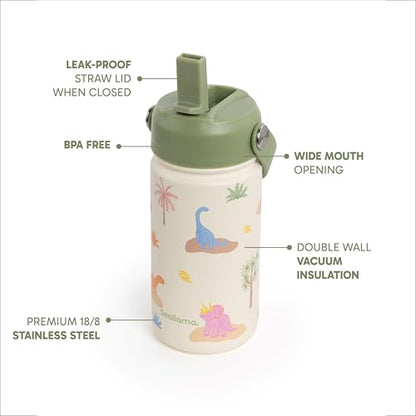 Seallama. Kids Water Bottle - 14 oz Stainless Steel Tumbler with Straw Lid, Vacuum Insulated Double Wall Travel Cup, Leak-Proof Reusable Drink Bottle for School & Everyday Hydration - color: Dino Darling