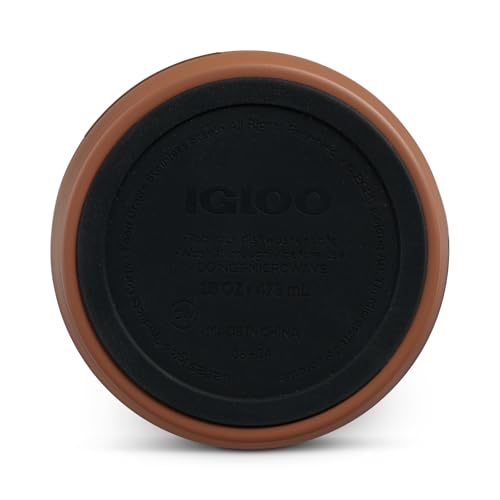 Igloo MineCraft Grass Block 16 oz Stainless Steel Hydration Can, Insulated Water Bottle, Reusable Travel Mug - color: 16 Oz Grass Block