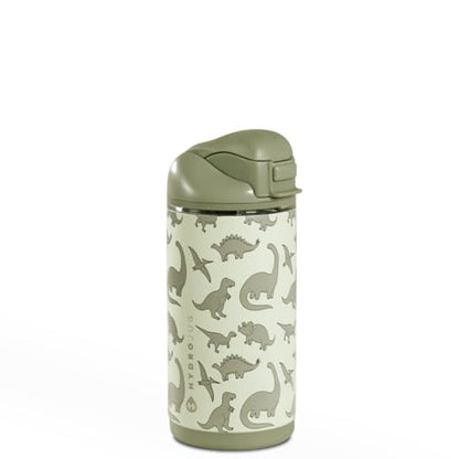 HydroJug Ease2o 14oz Kids Water Bottle with Straw & Chug Lid, Dinosaur - color: Dinosaur