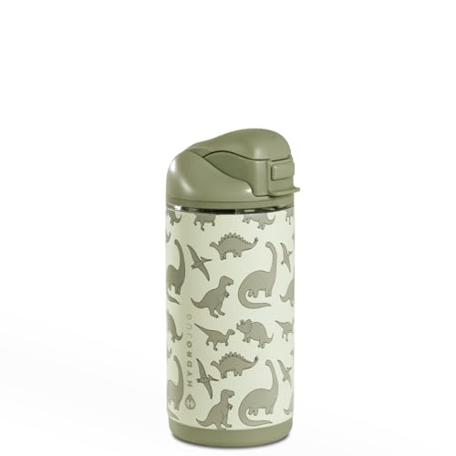HydroJug Ease2o 14oz Kids Water Bottle with Straw & Chug Lid, Dinosaur - color: Dinosaur