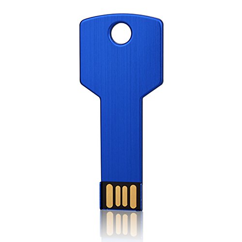 RAOYI 10 Pack 2GB USB Flash Drive USB 2.0 Metal Key Shape Memory Stick Thumb Drive Pen Drive-Blue - color: Blue, size: 2GB