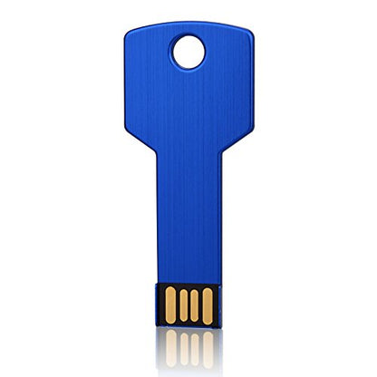 RAOYI 10 Pack 2GB USB Flash Drive USB 2.0 Metal Key Shape Memory Stick Thumb Drive Pen Drive-Blue - color: Blue, size: 2GB