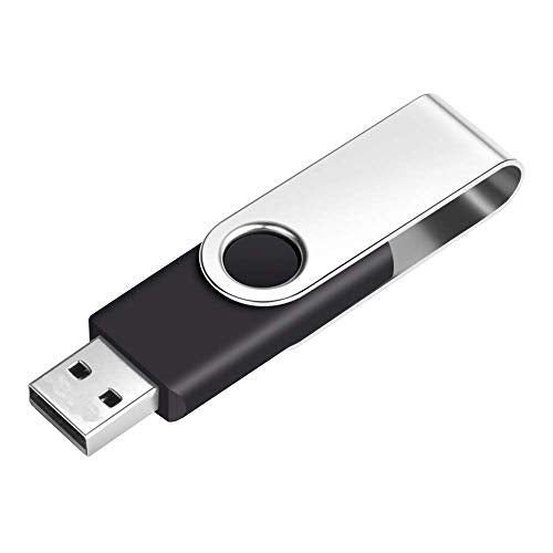 256MB Bulk Flash Drive 50 Pack EASTBULL USB 2.0 Flash Drives Bulk (Black) | Metal Thumb Drives Bulk 256MB USB Drives Pack with 50 Lanyards for Data Storage - size: 256MB, style: 50Pack