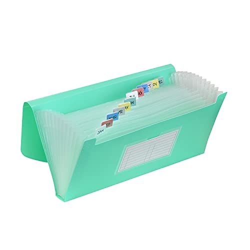 C-Line 13-Pocket Poly Expanding File, 10 x 5 Inches, Junior Size for Receipts and Checks, Includes Tabs, 1 File, Color May Vary (58710) - size: Specialty