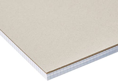 Amazon Basics Quad-Ruled Graph Paper Pad with Sturdy Back, Perforated, 8.5" x 11.75", White, 100 Sheets/Pad, 2-Pack - size: 2 Pack