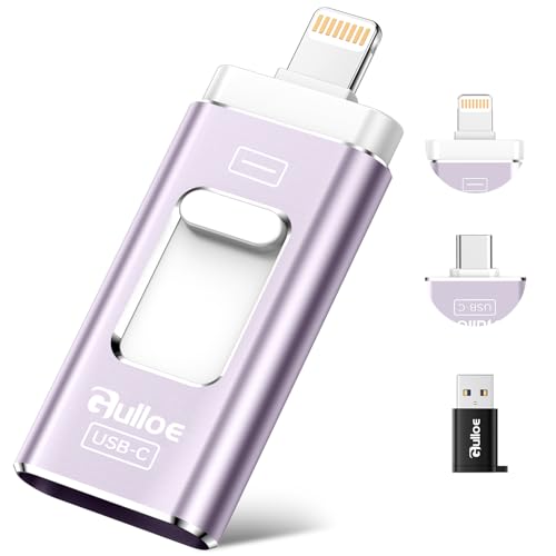 Gulloe 256GB Dual Interface Flash Drive for Phone Storage Photos Videos, Phone USB Backup External Photo Memory Stick - No App Required, Compatible with iPhone, iPad, Android & PC (Light Purple) - color: Light Purple, size: 256GB