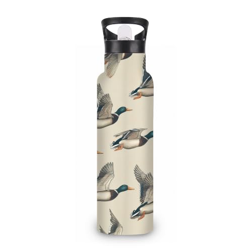 Mallard Duck 20 oz Insulated Water Bottles Wild Bird Stainless Steel Thermal Bottle Leak Resistant with Straw Twist Cap and Handle for Sports Coffee Mug Cup - color: Mallard Duck,Wild Bird