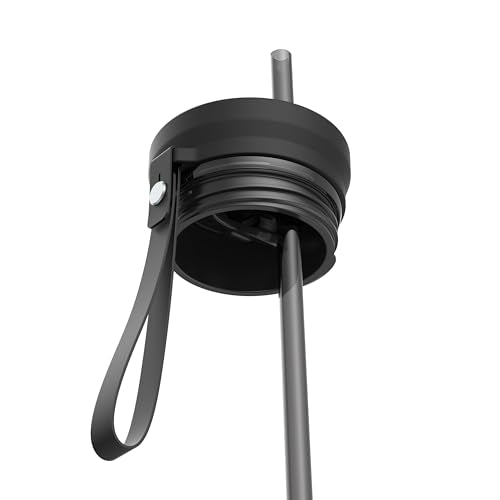 Contigo SnapSeal 709.8ml(24온스) 스테인리스 스틸 진공 단열 물병, 누출 방지 자동 닫힘 뚜껑, 휴대용 스트랩 및 재사용 가능한 빨대, BPA 프리 및 납 프리, 식기세척기 사용 가능 - color: 감초 건메탈, size: 24온스