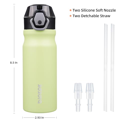 BJPKPK Insulated Water Bottle 18oz Stainless Steel Water Bottles with Straw and Carry Handle Double Wall Metal Thermal Flask,Macaron Green - color: Macaron Green, size: 18 Ounces