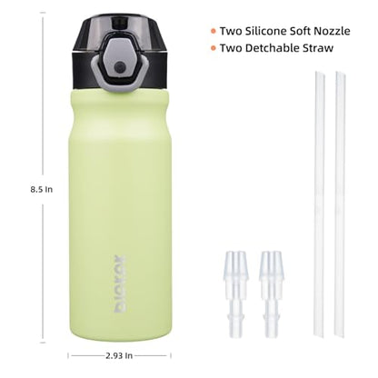 BJPKPK Insulated Water Bottle 18oz Stainless Steel Water Bottles with Straw and Carry Handle Double Wall Metal Thermal Flask,Macaron Green - color: Macaron Green, size: 18 Ounces
