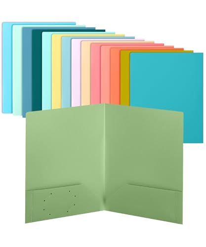 Mr. Pen- Plastic Folders with Pockets, 15 pcs | Aesthetic File Folder with Business Card Slot, 2-Pocket Folder, Back to School, Office, Filing Supplies - color: Seaside Carnival, size: 15 Pack
