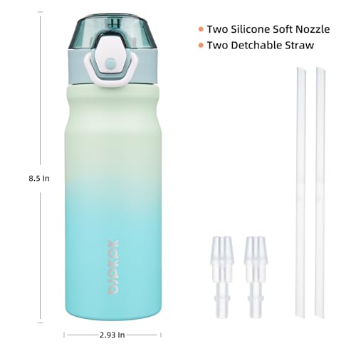 BJPKPK Insulated Water Bottle 18oz Stainless Steel Water Bottles with Straw and Carry Handle Double Wall Metal Thermal Flask,Mint - color: A-Mint, size: 18 Ounces