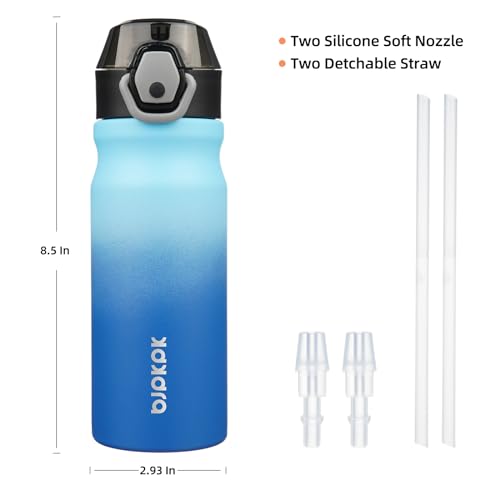 BJPKPK Water Bottle with Straw 18oz Insulated Water Bottles Reusable Stainless Steel Metal Thermal Flask with Leak Proof Lockable Lid and Carry Handle,Sky - color: A-Sky, size: 18 Ounces