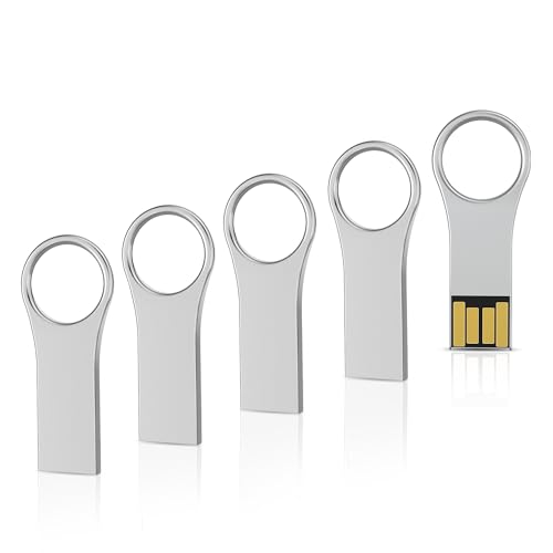 RAOYI 5 Pack 32GB Metal Key Shape USB Flash Drive, USB 2.0 Memory Stick Thumb Drives Jump Drive for PC Laptop Desktop Computer-Silver - color: silver 5 pack, size: 32GB-2.0