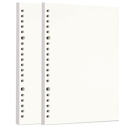 Zelten Loose Leaf Punched Paper Refills Paper for Personal Organizer Diary Notebook Refillable Planner (Sketch, A5/20 Hole) - color: Sketch, size: A5/20 Hole