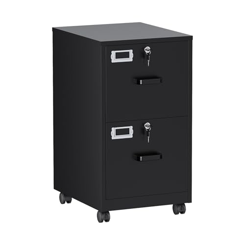 BYNSOE 2 Drawers File Cabinet with Lock Metal Vertical File Cabient with Wheels Mobile File Cabinet for Office Home Legal/Letter/a4 Size Require Assembly - color: Black, size: 2 Drawers-wheels