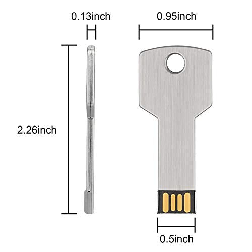 RAOYI 10 Pack 2GB USB Flash Drive USB 2.0 Metal Key Shape Memory Stick Thumb Drive Pen Drive-Silver - color: Silver, size: 2GB