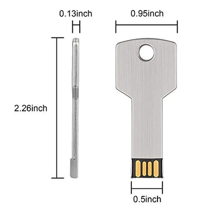 RAOYI 10 Pack 2GB USB Flash Drive USB 2.0 Metal Key Shape Memory Stick Thumb Drive Pen Drive-Silver - color: Silver, size: 2GB