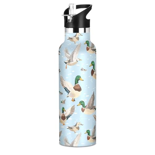 Mallard Ducks 20 Oz Water Bottle with Straw Kids Insulated Stainless Steel Sports Water Cup Metal Flask - color: Multi01