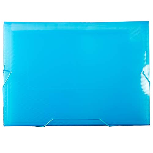 JAM PAPER 아코디언 폴더 - 13 포켓 플라스틱 확장 파일 - 레터 사이즈 - 22.9 x 33cm(9 x 13인치) - 블루 그리드 - 개별 판매 - color: 블루., size: Letter Size