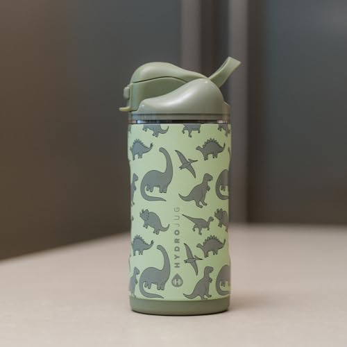 HydroJug Ease2o 14oz Kids Water Bottle with Straw & Chug Lid, Dinosaur - color: Dinosaur