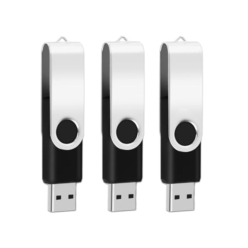 100Packs 2GB Flash Drive Bulk EASTBULL FAT32 USB2.0 Thumb Drive (Black) | Swivel Thumb Drives Pack 2G USB Drive Bulk with 100 Lanyards for Data Storage - size: 2GB, style: 100Pack