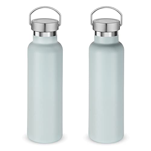 Neihepal 20 oz Insulated Water Bottles Bulk 2 Pack,Stainless Steel Double Wall Sport Bottle with Lid of Handle,Metal Reusable Thermoses Flask with Cup Cap for School,Cyclists,Gift (Fog,Set of 2) - color: Fog