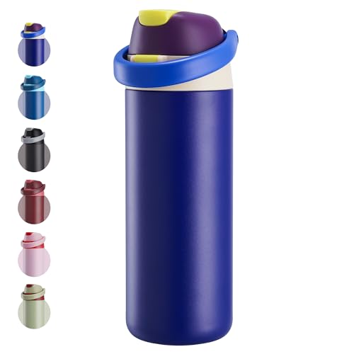 Fijinhom 18 oz Insulated Water Bottle, Stainless Steel Water Bottle with 2-in-1 Straw and Push-Button Spout Lid, Keep 24 Hour Cold, Double Wall Vacuum Leak-Proof & BPA-Free for Sport, Travel, Sapphire - color: Sapphire, size: 18 Ounces