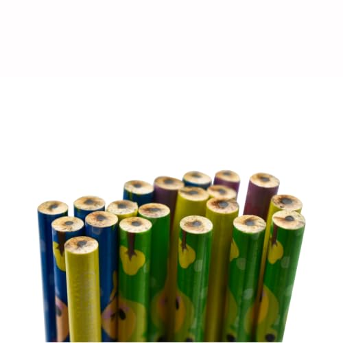 50 PCS Cute Cartoon Animal Pencils with Eraser HB Lead Wooden Pencil School Teachers Student Classroom Supplies Party Favor Gifts