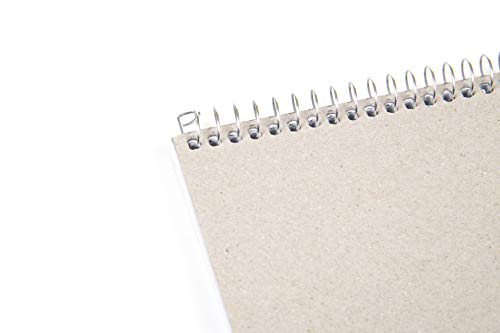 Mintra Office Steno Books Set - Top-Spiral Bound, Narrow Ruled, 100 White Tint Sheets, Poly Covered Notebooks for Office & School, Colorful Arctic Ice, Green Olive, Charcoal, Chili Oil, 6"x9", 8 Pack - color: Poly Steno 8pk (Arctic Ice, Green Olive, Charc
