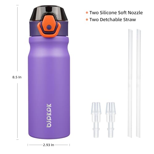 BJPKPK Stainless Steel Insulated Water Bottle with Straw Lid 18oz Reusable Metal Thermal Flask Bottles Keep Cold and Hot,Purple - color: Purple, size: 18 Ounces