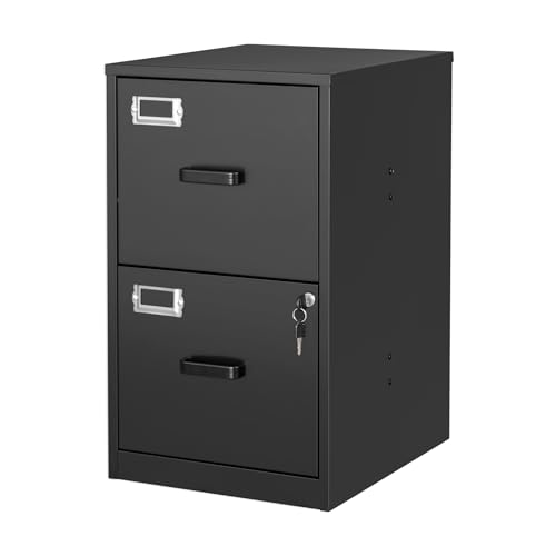 BYNSOE 2 Drawer File Cabinet with Lock Vertical Filing Storage Cabinet Office Home Steel Vertical File Cabinets for Letter Size File Cabinet Locked,Assembly Required - color: Black, size: 2 Drawers-Light-duty