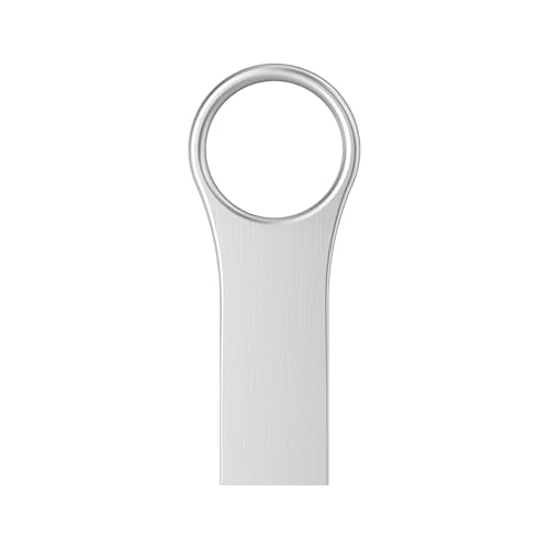 RAOYI 32GB USB 2.0 Flash Drive Memory Stick Metal Key Thumb Drive Jump Drive for PC Laptop Desktop -Silver - color: silver 1 pack, size: 32GB-2.0