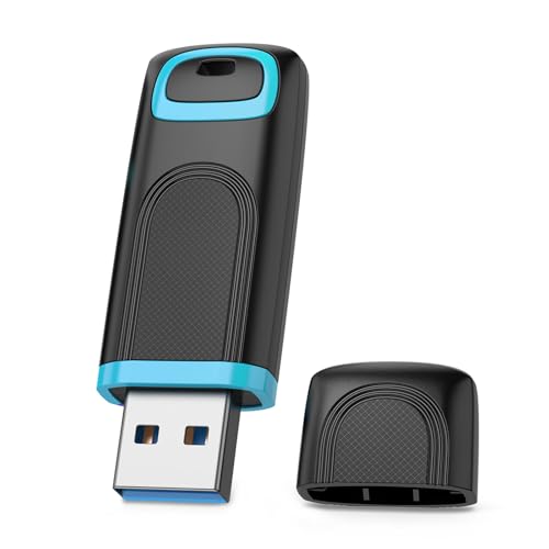 RAOYI 64GB USB 3.0 Flash Drive Thumb Drive High Speed Memory Stick Jump Drive Portable Zip Drive for PC Laptop Backup - color: Cyan 1 Pack, size: 64GB-3.0