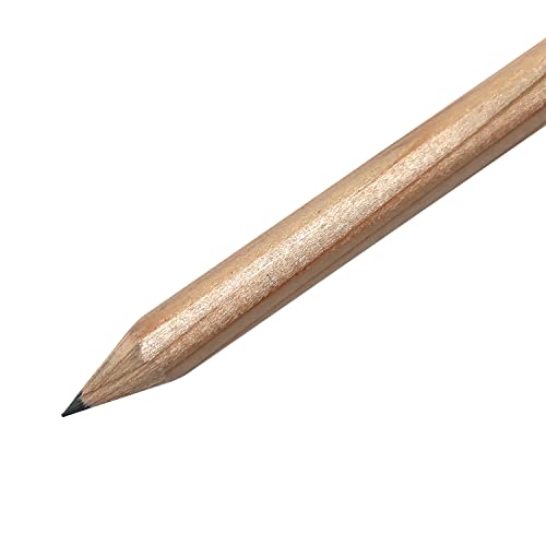 RoseArt U.S.A. Gold Pre-Sharpened American Wood Cased #2 HB Natural Pencils, 36 Pack - color: Natural, size: 1 Count (Pack of 36)