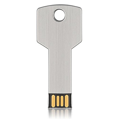 RAOYI 10 Pack 4GB USB Flash Drive USB 2.0 Metal Key Shape Memory Stick Thumb Drive Pen Drive-Silver - color: Silver, size: 4GB