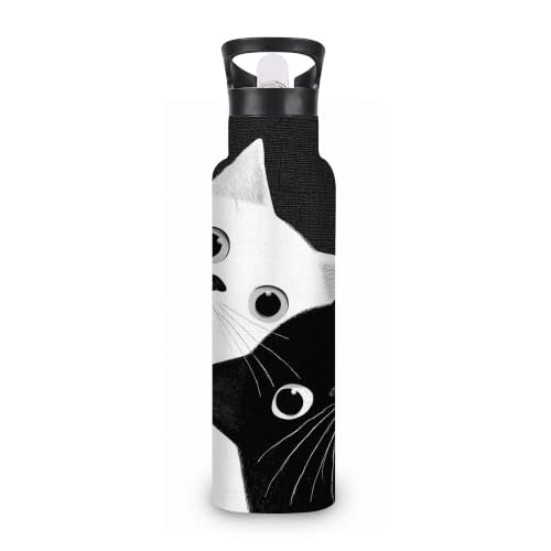 Insulated Water Bottle,Two Cats 20 oz Stainless Steel Water Bottles with Straw Lid,Black White Leak Resistant Double Insulated Flask with Handle,Fits Cup Holder,Keeps Drinks Cold - color: Two Cats,Black White