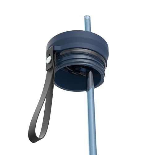 Contigo SnapSeal 709.8ml(24온스) 스테인리스 스틸 진공 단열 물병, 누출 방지 자동 닫힘 뚜껑, 휴대용 스트랩 및 재사용 가능한 빨대, BPA 프리 및 납 프리, 식기세척기 사용 가능 - color: 어비스 브론즈, size: 24온스