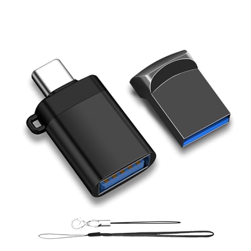 EASTBULL 128GB USB3.0 Small Flash Drive with USB-C Adapter Mini USB Drive | 128GB exFAT Thumb Drives Compact Drives for USB-A or Type-C Devices (1 Adapter, 2 Lanyards) - color: Grey (1pcs), size: 128GB