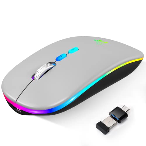 HOTLIFE LED Wireless Mouse, Slim Rechargeable Bluetooth Mouse, 2.4G Portable USB Optical Wireless Computer Mice with USB Receiver and Type C Adapter (Grey) - color: Light Grey