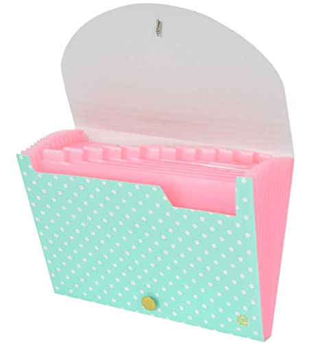 CNK File Folders Organizer with 13 Pockets Accordion Expanding Folder For Documents Receipt Document Paper Pocket Filing Products Accordian Important expandable holder files alphabetical Labels Letter - color: Polka Dots