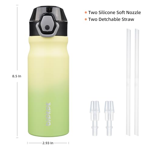 BJPKPK Insulated Water Bottle 18oz Stainless Steel Water Bottles with Straw and Carry Handle Double Wall Metal Thermal Flask,Lime - color: Lime, size: 18 Ounces