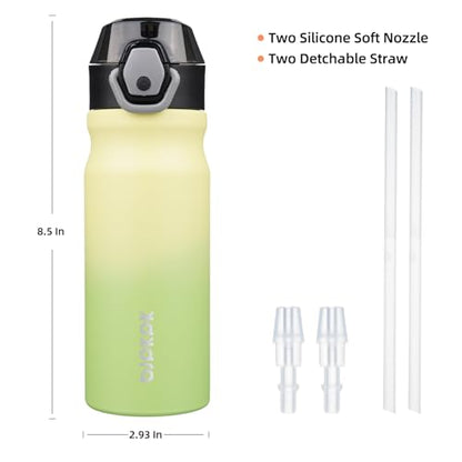 BJPKPK Insulated Water Bottle 18oz Stainless Steel Water Bottles with Straw and Carry Handle Double Wall Metal Thermal Flask,Lime - color: Lime, size: 18 Ounces