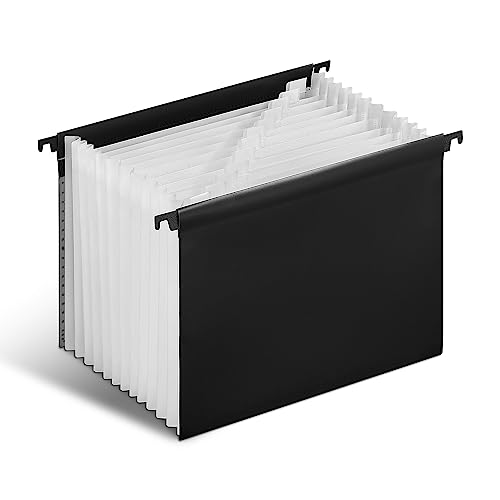 Staples Poly Expanding Hanging File Folder, 12‑Pocket Letter‑Size Accordion File with Jan–Dec Index, Durable Poly Construction, Black