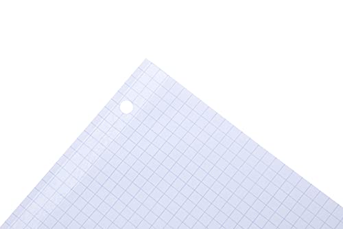 Mintra Reinforced Filler Paper (400 Sheets (4pk of 100), Graph Ruled) - color: Graph Ruled