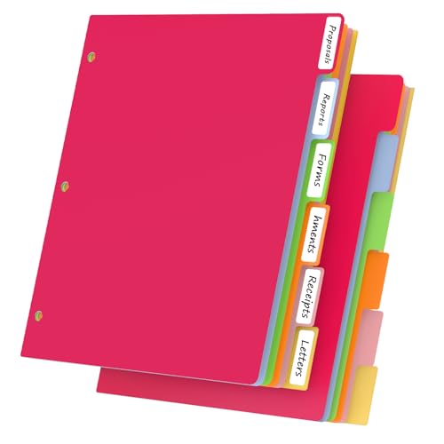 HABGP 12Pcs/2 Set 6 Tab Dividers for 3 Ring Binder, 12 Pcs Colorful Binder Dividers with Tabs, 3 Ring Page Folder Dividers, Plastic Tabbed File Dividers with Tabs, Three Ring Binder Index Dividers - size: colorful 2 set (12 pcs)