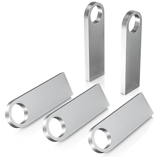 ABLAZE 64GB Flash Drive 5 Pack, Metal USB 2.0 Thumb Drives with Keychains USB Stick Pendrive (Sliver) - color: 5 Pack, size: 64GB
