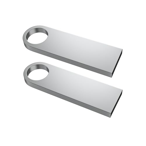 ABLAZE 2GB Flash Drive 2 Pack, Metal USB 2.0 Thumb Drives with Keychains USB Stick Pendrive (Sliver) - color: 2 Pack, size: 2GB