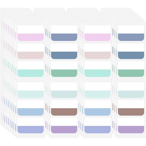 AccEncyc 240 Pcs Colored Index Tab 1"x1.8" Large Book Sticky Tabs Repositionable Page Tabs Flags Page Markers Labels for Notebooks, Filing, Classification,12 Colors - size: Large 240Pcs