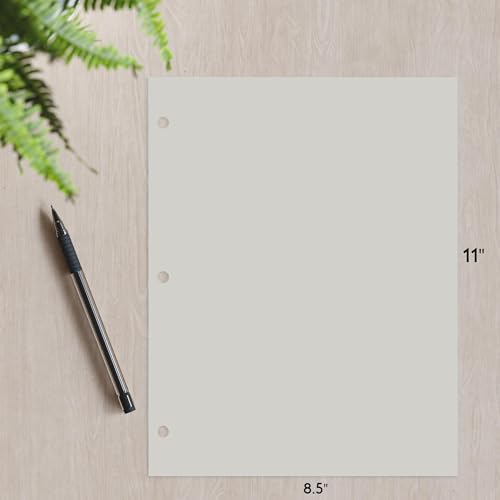Copy Printing and Writing Colored Paper, 20 Pound - 75 Gsm, 3 Hole Punch, 500 Sheets per Ream. (Grey) - color: Grey